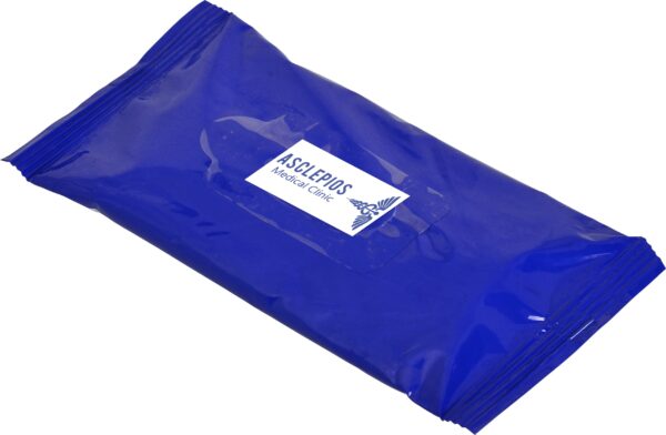 Go-bac Sanitizing Wet Wipes